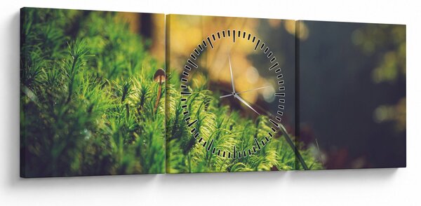 Slika mahovine sa gljivom (sa satom) (90x30 cm)