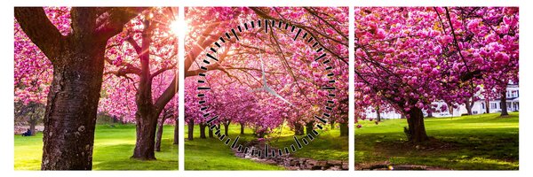 Slika procvjetalih trešanja, Hurd Park, Dover, New Jersey (sa satom) (90x30 cm)