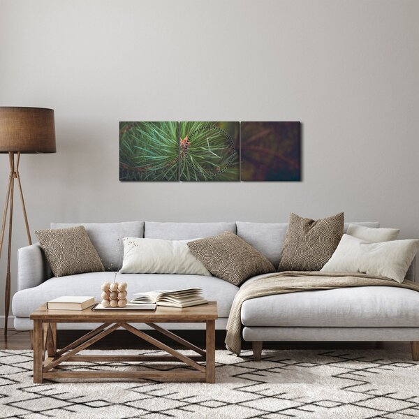 Slika - Detalj stabla bora (sa satom) (90x30 cm)