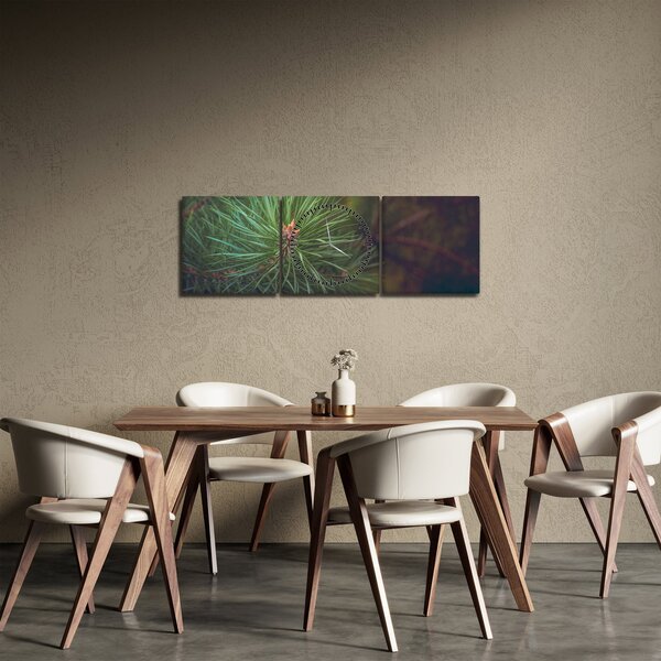 Slika - Detalj stabla bora (sa satom) (90x30 cm)