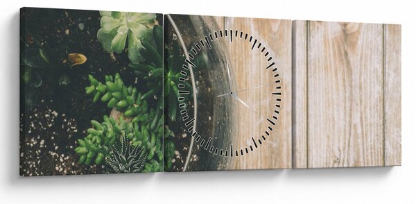 Slika sukulenata u staklu (sa satom) (90x30 cm)