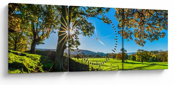 Slika - Pogled na polje (sa satom) (90x30 cm)