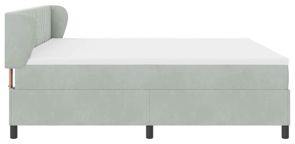 Krevet s opruga kutije Svjetlosiva 200 x 200 cm Baršun - Svjetlosiva / 200 x 200 cm
