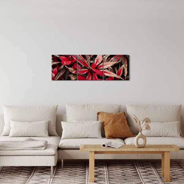 Slika crvenih latica (sa satom) (90x30 cm)