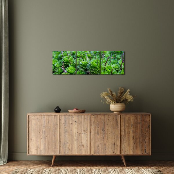 Slika sukulenata (sa satom) (90x30 cm)