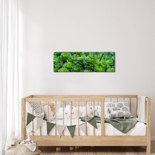 Slika sukulenata (sa satom) (90x30 cm)
