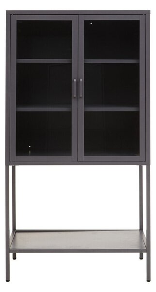 Siva željezna vitrina 75x150x35 cm Acier – Premier Housewares