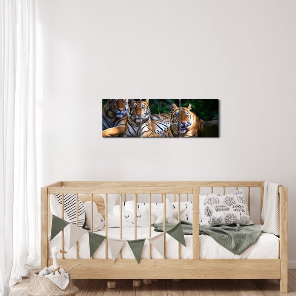 Slika - Tiger bratje (sa satom) (90x30 cm)