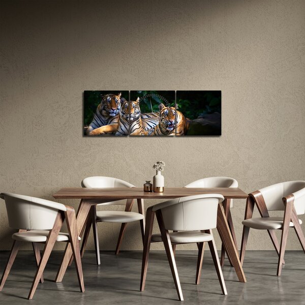 Slika - Tiger bratje (sa satom) (90x30 cm)