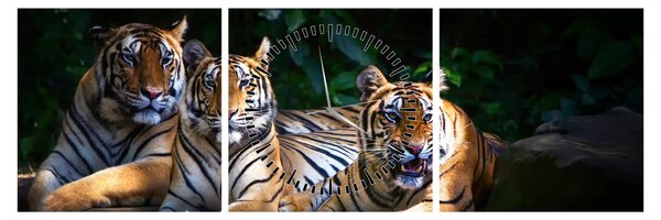 Slika - Tiger bratje (sa satom) (90x30 cm)