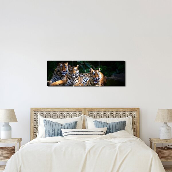 Slika - Tiger bratje (sa satom) (90x30 cm)