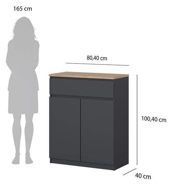 Tamno siva komoda 80x100x40 cm Naia – Tvilum