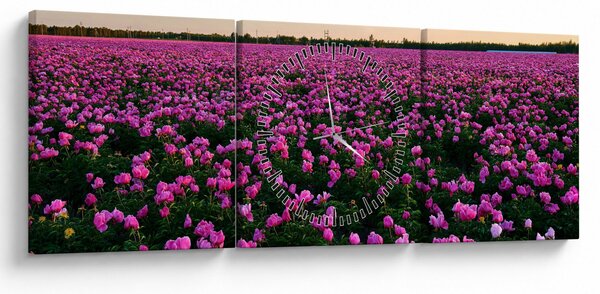 Slika - Travnik vijoličnih tulipanov (sa satom) (90x30 cm)