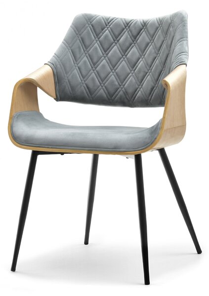 Stolica Rolf K (hrast sivi + crna)