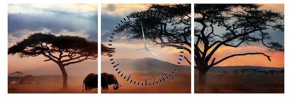 Slika - Nacionalni park Serengeti, Tanzanija, Afrika (sa satom) (90x30 cm)