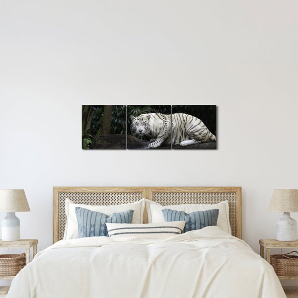 Slika - Albino tiger (sa satom) (90x30 cm)