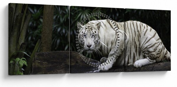 Slika - Albino tiger (sa satom) (90x30 cm)