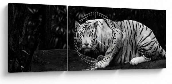 Slika - Albino tiger, črno-bela (sa satom) (90x30 cm)