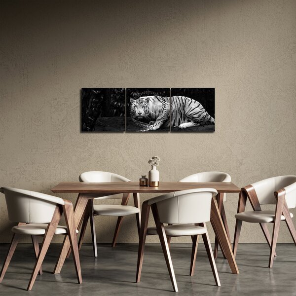 Slika - Albino tiger, črno-bela (sa satom) (90x30 cm)