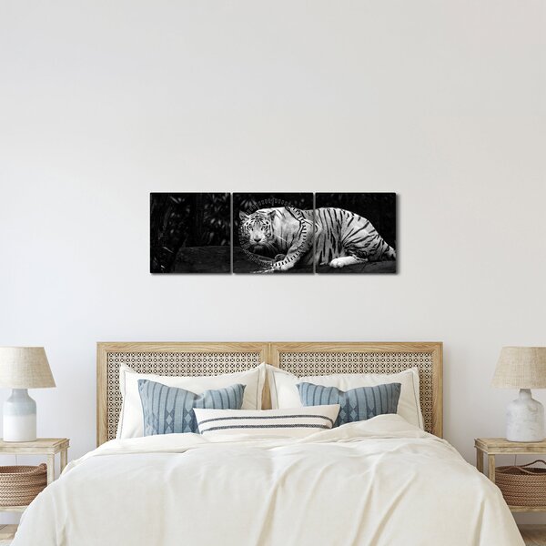 Slika - Albino tiger, črno-bela (sa satom) (90x30 cm)