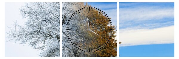 Slika - Sprememba sezone (sa satom) (90x30 cm)