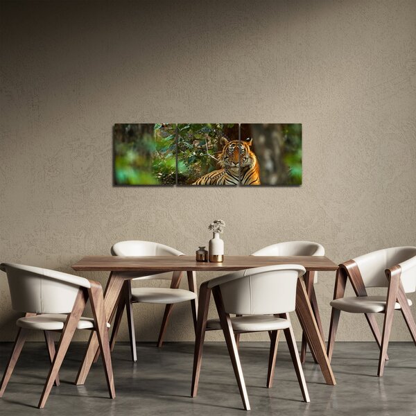 Slika počivajočega tigra (sa satom) (90x30 cm)