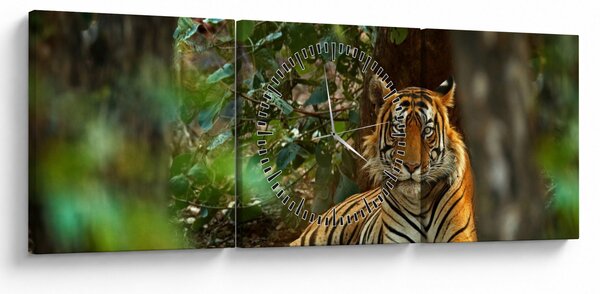 Slika počivajočega tigra (sa satom) (90x30 cm)