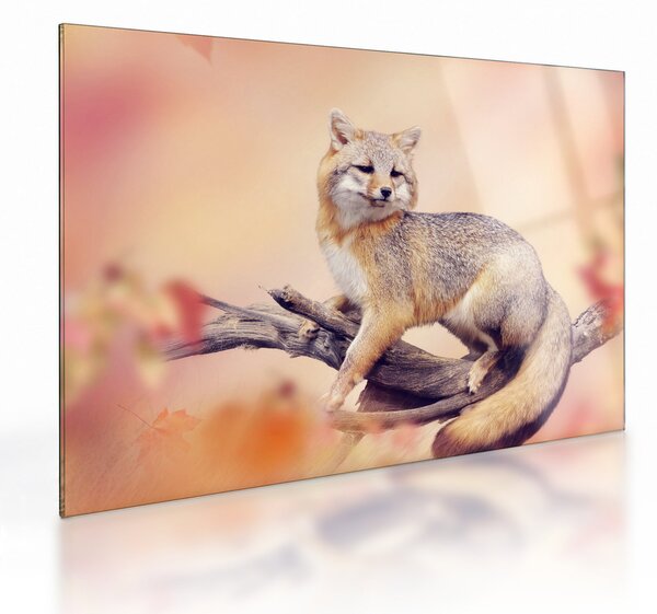 Staklena slika - Lisica (70x50 cm)