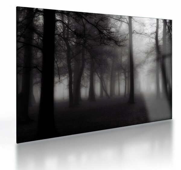Staklena slika - Gozd v megli (70x50 cm)