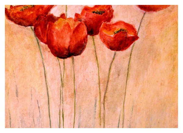 Staklena slika - Rdeči tulipani (70x50 cm)