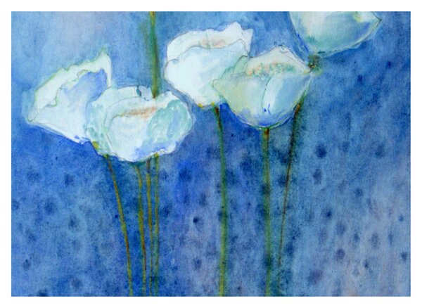 Staklena slika - Beli tulipani (70x50 cm)