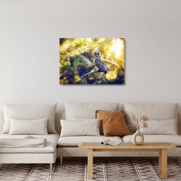 Staklena slika sove na drevesu (70x50 cm)