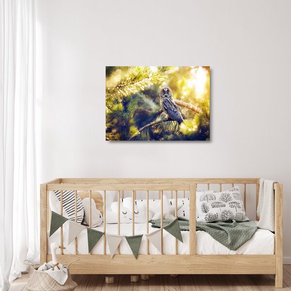 Staklena slika sove na drevesu (70x50 cm)