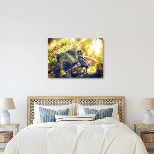 Staklena slika sove na drevesu (70x50 cm)