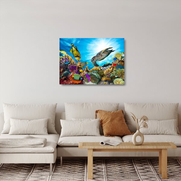 Staklena slika koralnega grebena (70x50 cm)