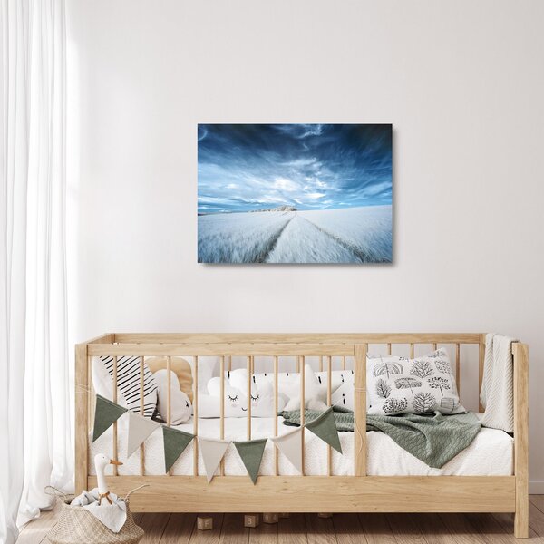 Staklena slika polja (70x50 cm)