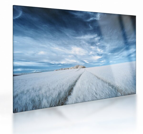Staklena slika polja (70x50 cm)