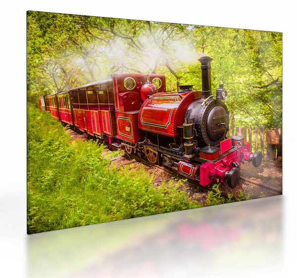 Staklena slika parnega vlaka (70x50 cm)