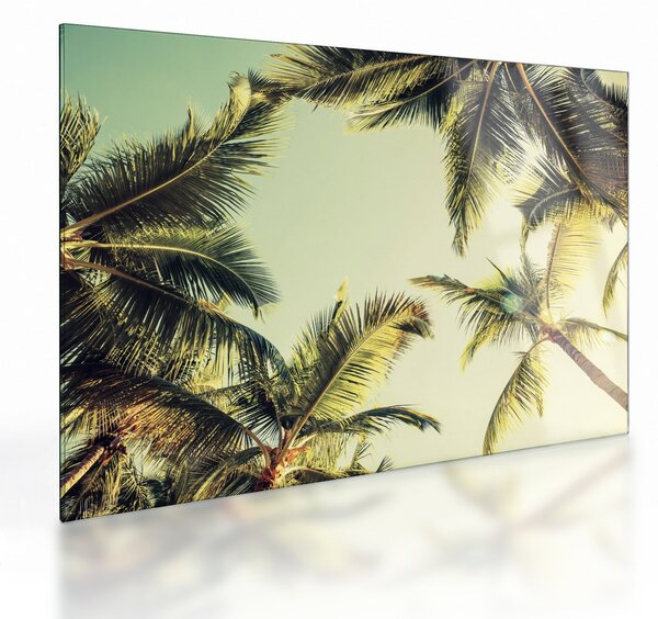 Staklena slika s kokosovimi palmami (70x50 cm)