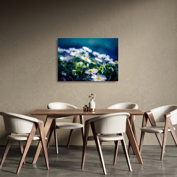 Staklena slika marjetic (70x50 cm)