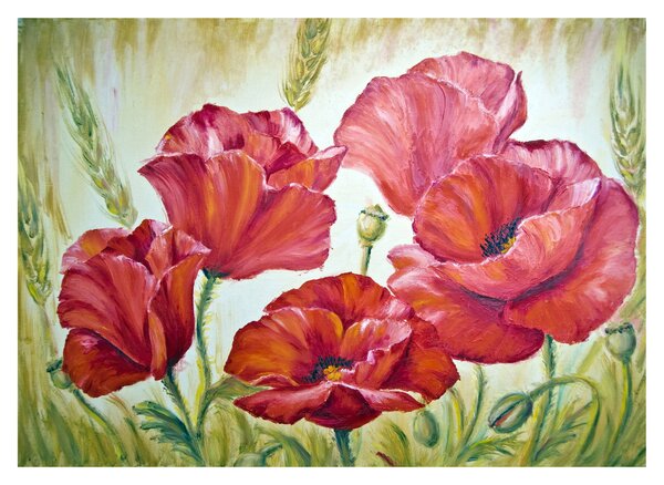 Staklena slika - Cvetovi maka (70x50 cm)