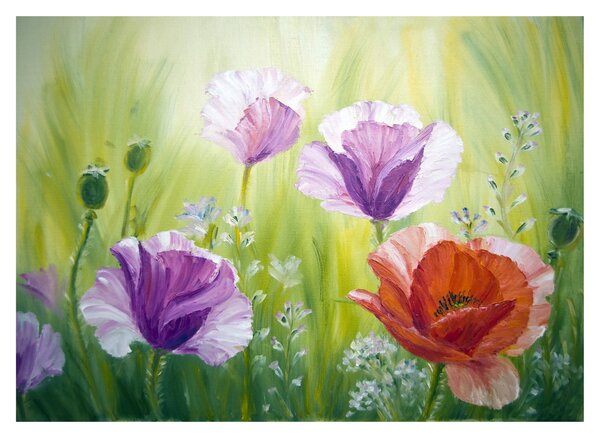 Staklena slika - Makovi (70x50 cm)