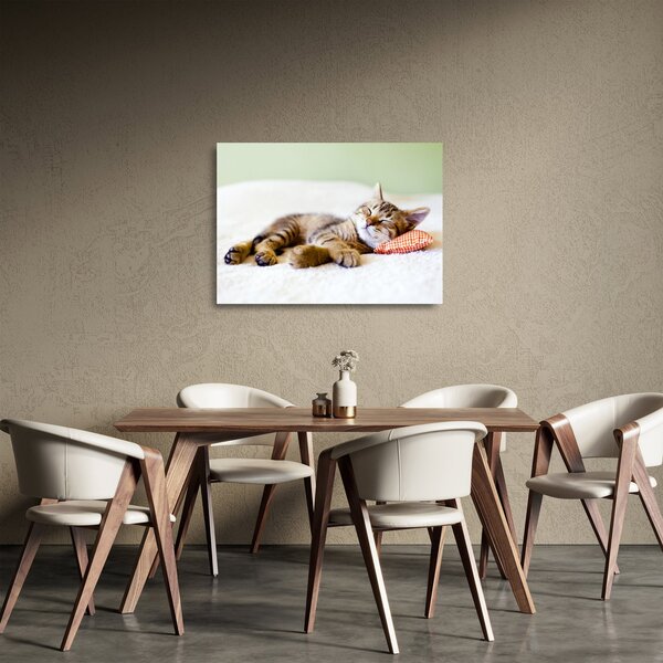 Staklena slika - Speči maček (70x50 cm)