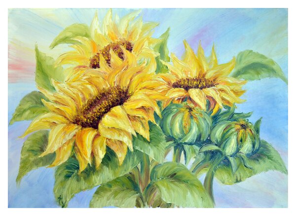 Staklena slika cvetočih sončnic (70x50 cm)