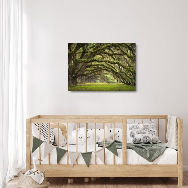Staklena slika - Oaks Avenue, Charleston, Južna Karolina, ZDA (70x50 cm)