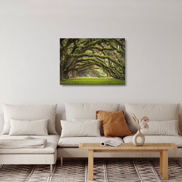 Staklena slika - Oaks Avenue, Charleston, Južna Karolina, ZDA (70x50 cm)