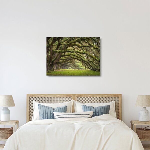 Staklena slika - Oaks Avenue, Charleston, Južna Karolina, ZDA (70x50 cm)