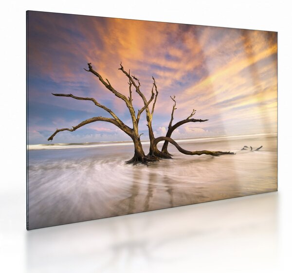 Staklena slika drevesa v oceanu (70x50 cm)