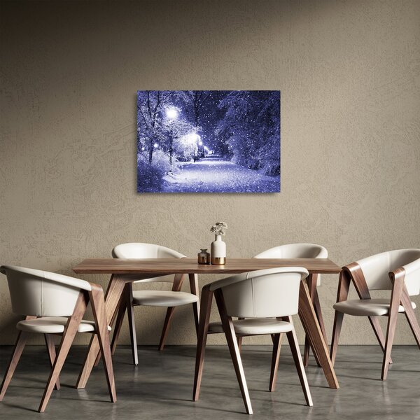 Staklena slika - Čarobna zimska noč (70x50 cm)
