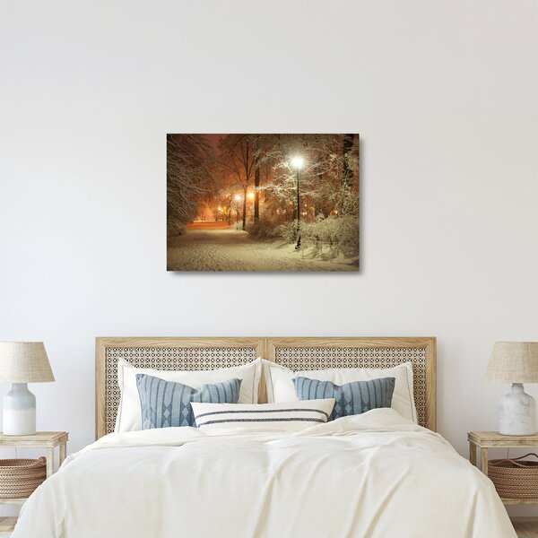 Staklena slika - Snežni park (70x50 cm)